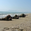 Combat Diver Course May 2015_077